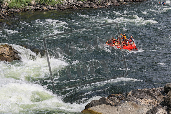 20260801-IMG_8212