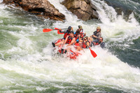 20260801-IMG_8261
