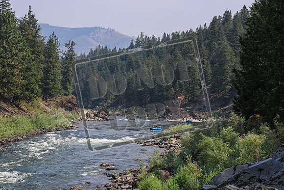 20260801-IMG_6939