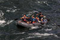 20260801-IMG_0602