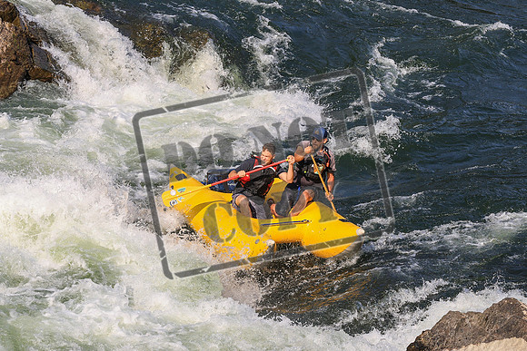 20260801-IMG_1187