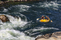20260801-IMG_1183