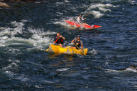 20260801-IMG_1181