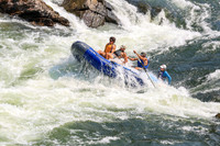 20260801-IMG_5648