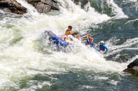 20260801-IMG_5647