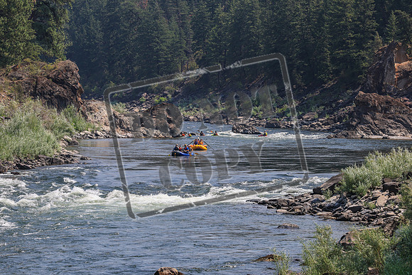 20260801-IMG_6642