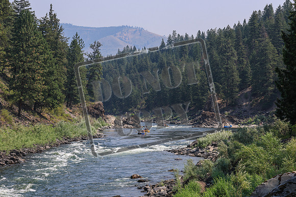 20260801-IMG_6640