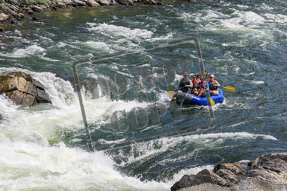 20260801-IMG_6650