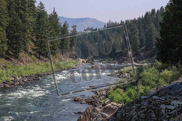 20260801-IMG_6645