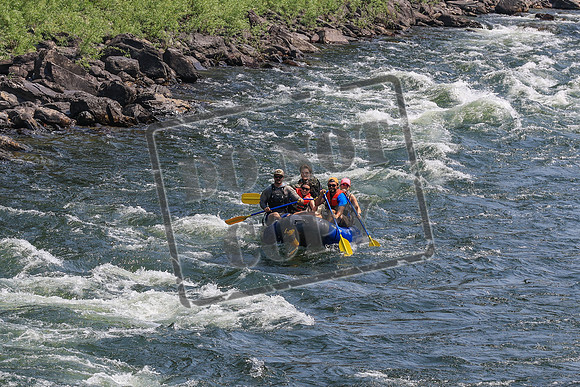 20260801-IMG_6648