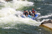20260801-IMG_7478