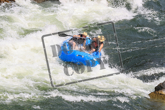 20260801-IMG_7533
