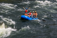 20260801-IMG_9286