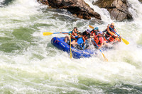 20260801-IMG_5880