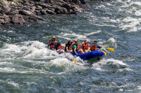 20260801-IMG_5868