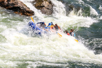 20260801-IMG_5906