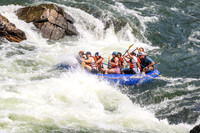 20260801-IMG_5936