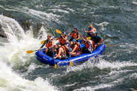20260801-IMG_5934