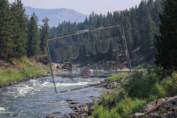 20260801-IMG_5855