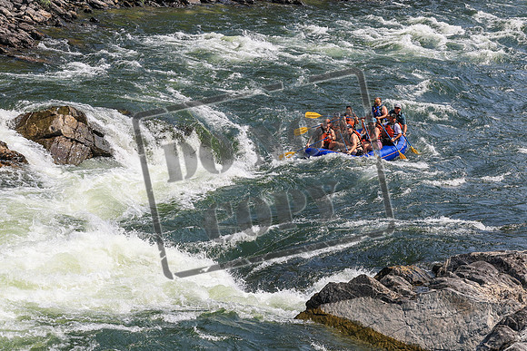 20260801-IMG_5931