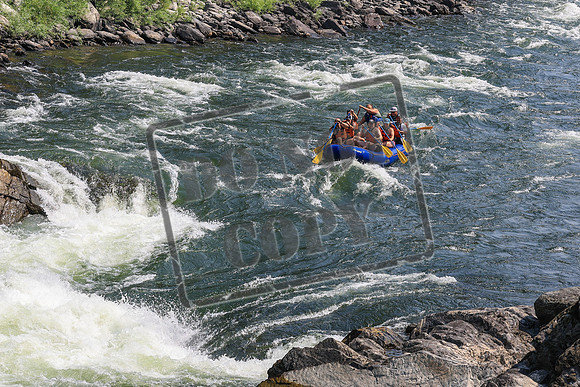 20260801-IMG_5930