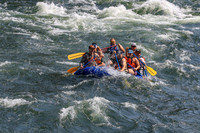 20260801-IMG_5929