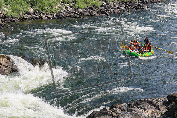 20260801-IMG_5963