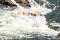 20260801-IMG_5971