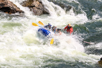 20260801-IMG_6006