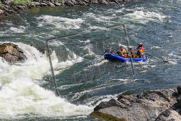 20260801-IMG_6000