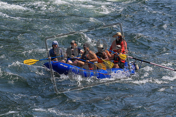 20260801-IMG_5998