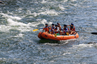 20260801-IMG_5512