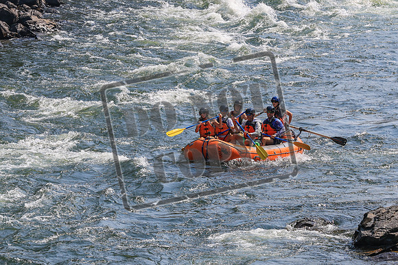 20260801-IMG_5511