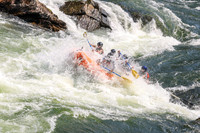 20260801-IMG_5519