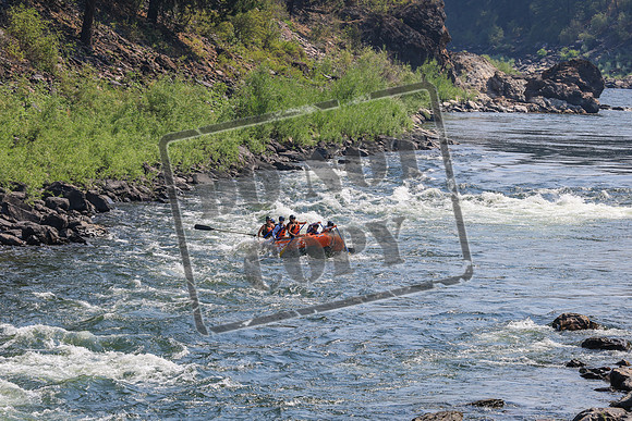 20260801-IMG_5509