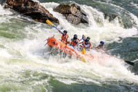 20260801-IMG_5520