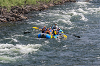 20260801-IMG_7646