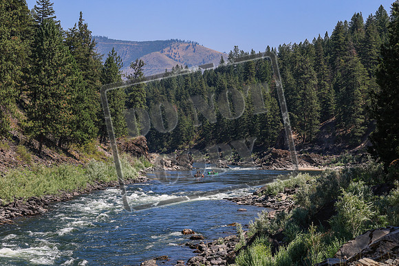 20260802-IMG_2240
