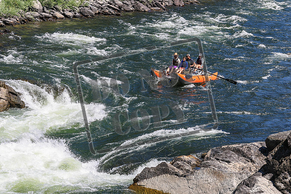 20260802-IMG_2250