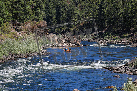 20260802-IMG_2870