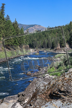 20260802-IMG_3478