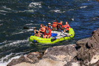 20260802-IMG_3502