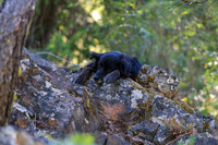 20260802-IMG_3069