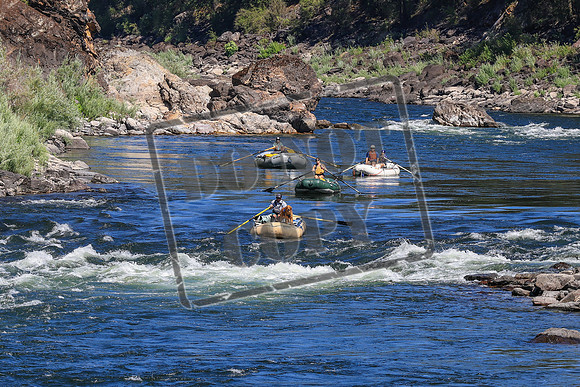 20260802-IMG_3235