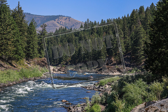 20260802-IMG_2598