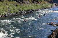 20260802-IMG_1736