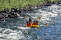 20260802-IMG_1561