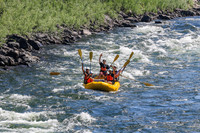 20260802-IMG_1559