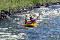 20260802-IMG_1558
