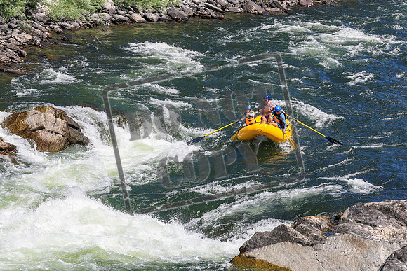 20260802-IMG_2567